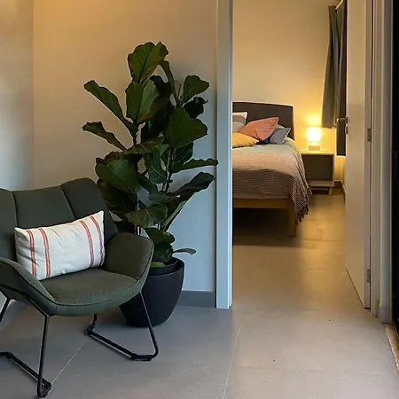 Holiday home Casa Do Sol - Natureza & Lazer - Serra Da Freita Arouca
