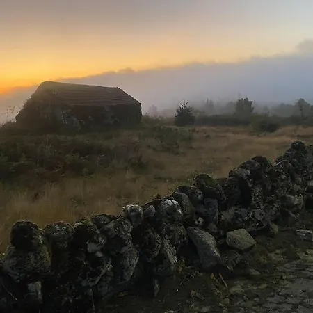 Casa Do Sol - Natureza & Lazer - Serra Da Freita Semesterbostad Arouca