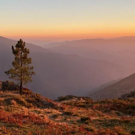 Casa Do Sol - Natureza & Lazer - Serra Da Freita