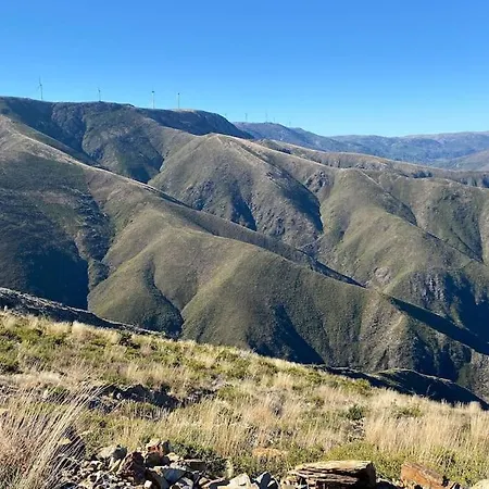 Casa Do Sol - Natureza & Lazer - Serra Da Freita Semesterbostad