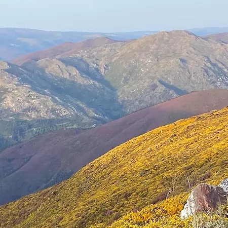 Casa Do Sol - Natureza & Lazer - Serra Da Freita *