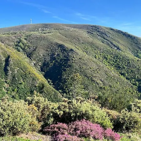 Casa Do Sol - Natureza & Lazer - Serra Da Freita Semesterbostad *