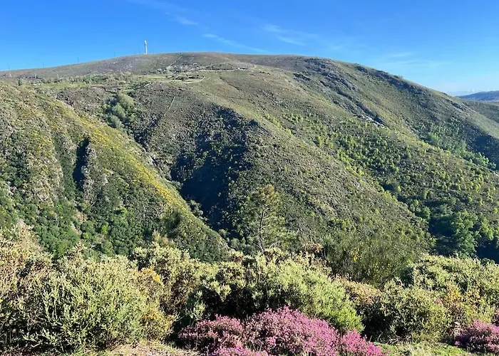 Casa Do Sol - Natureza & Lazer - Serra Da Freita Casa vacanze *